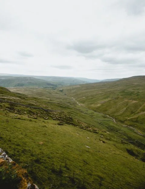 Buttertubs