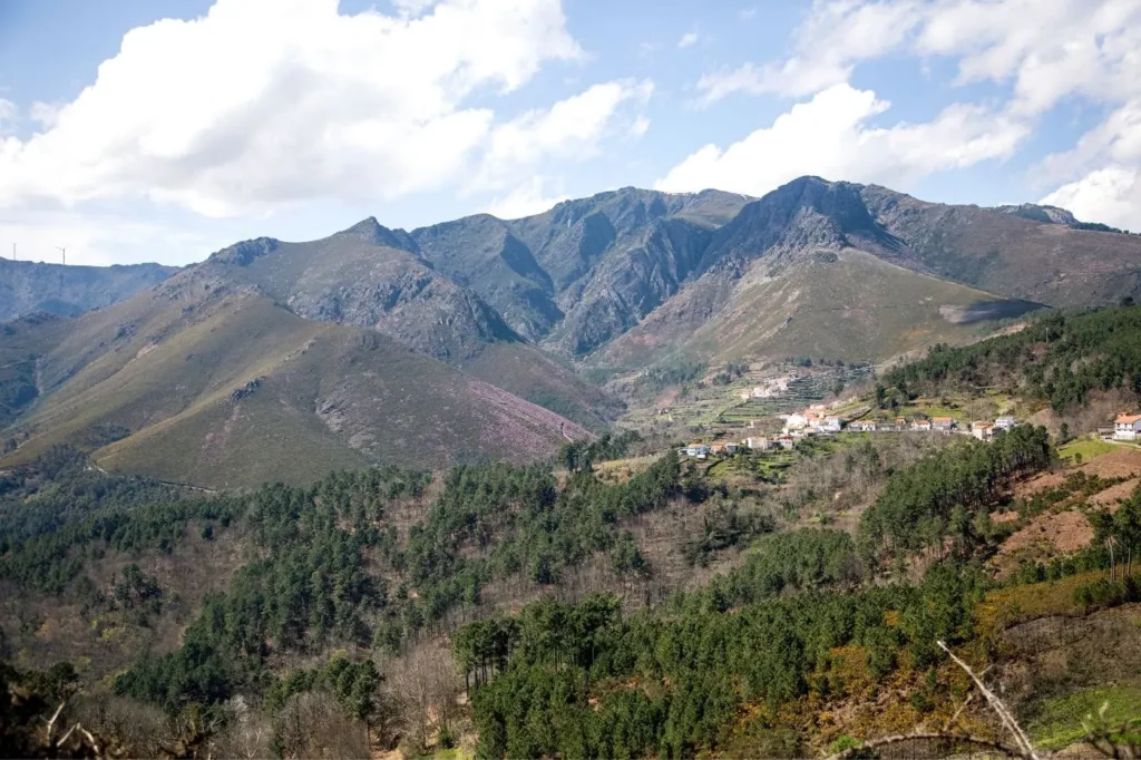 Tour of the Douro Valley