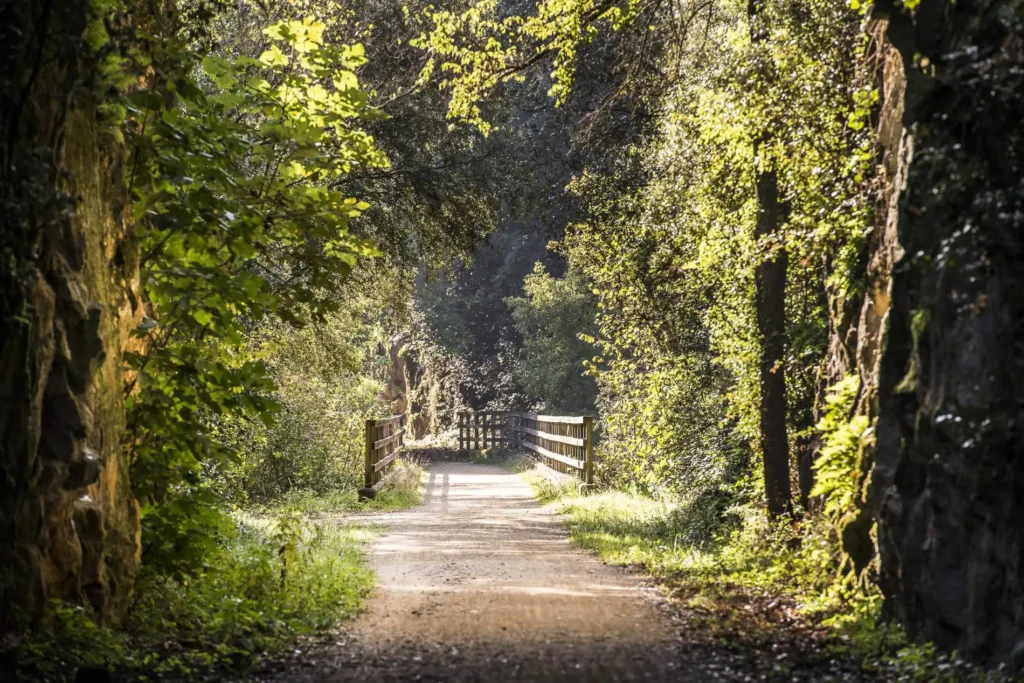 Pirinexus Gravel Self-Guided