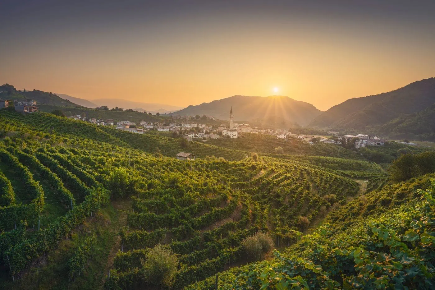 The Prosecco Hills