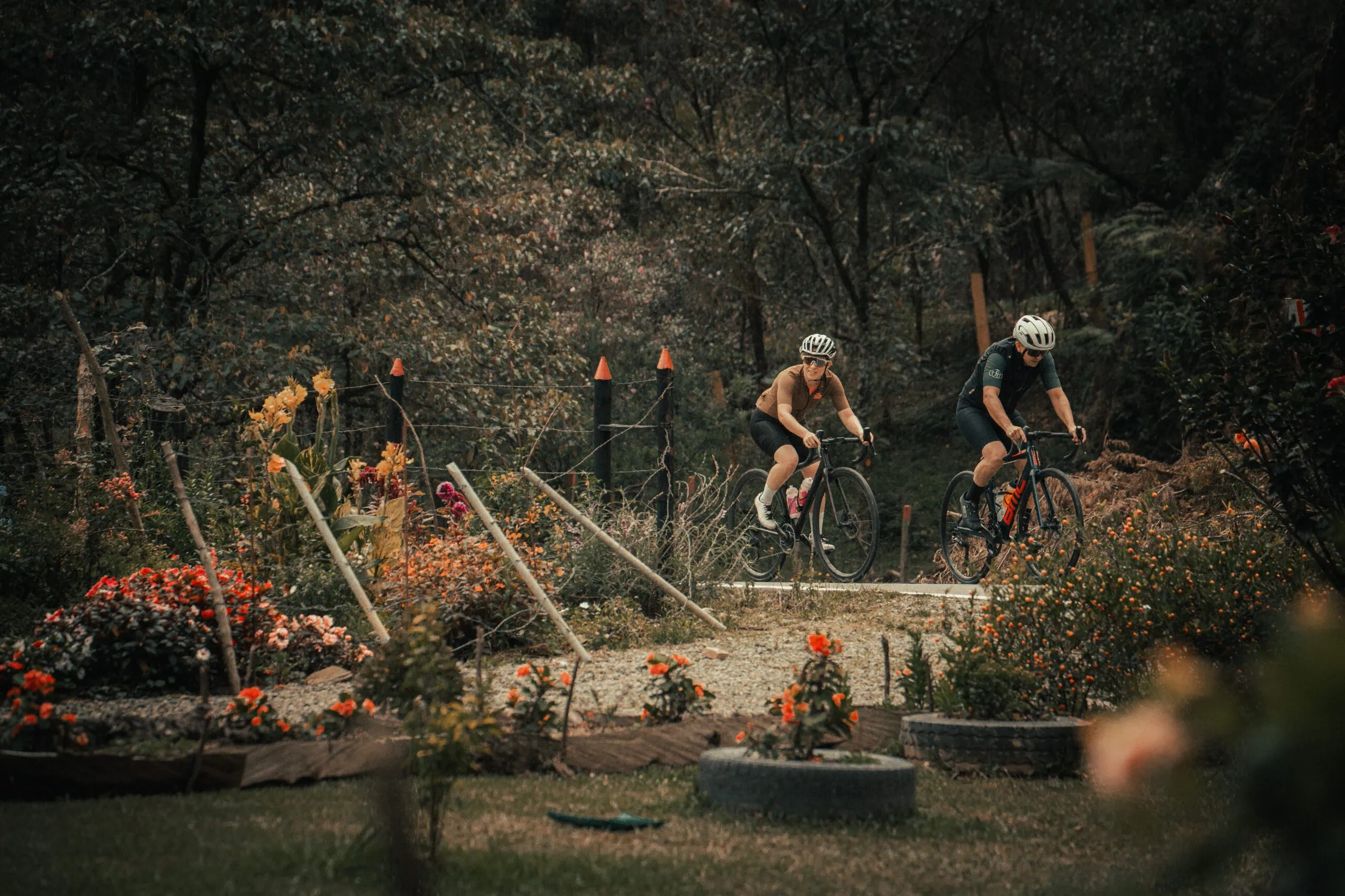 Classic Climbs of Medellín