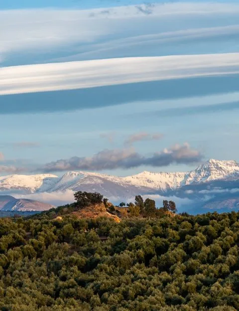 Sierra Nevada