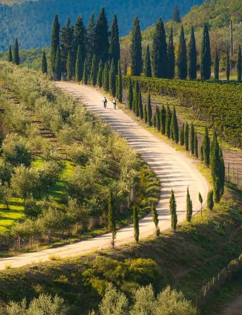 Strade Bianche