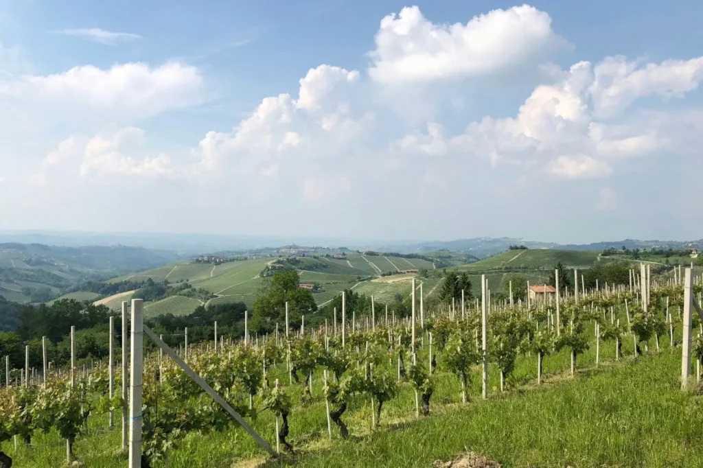Tour of Piemonte