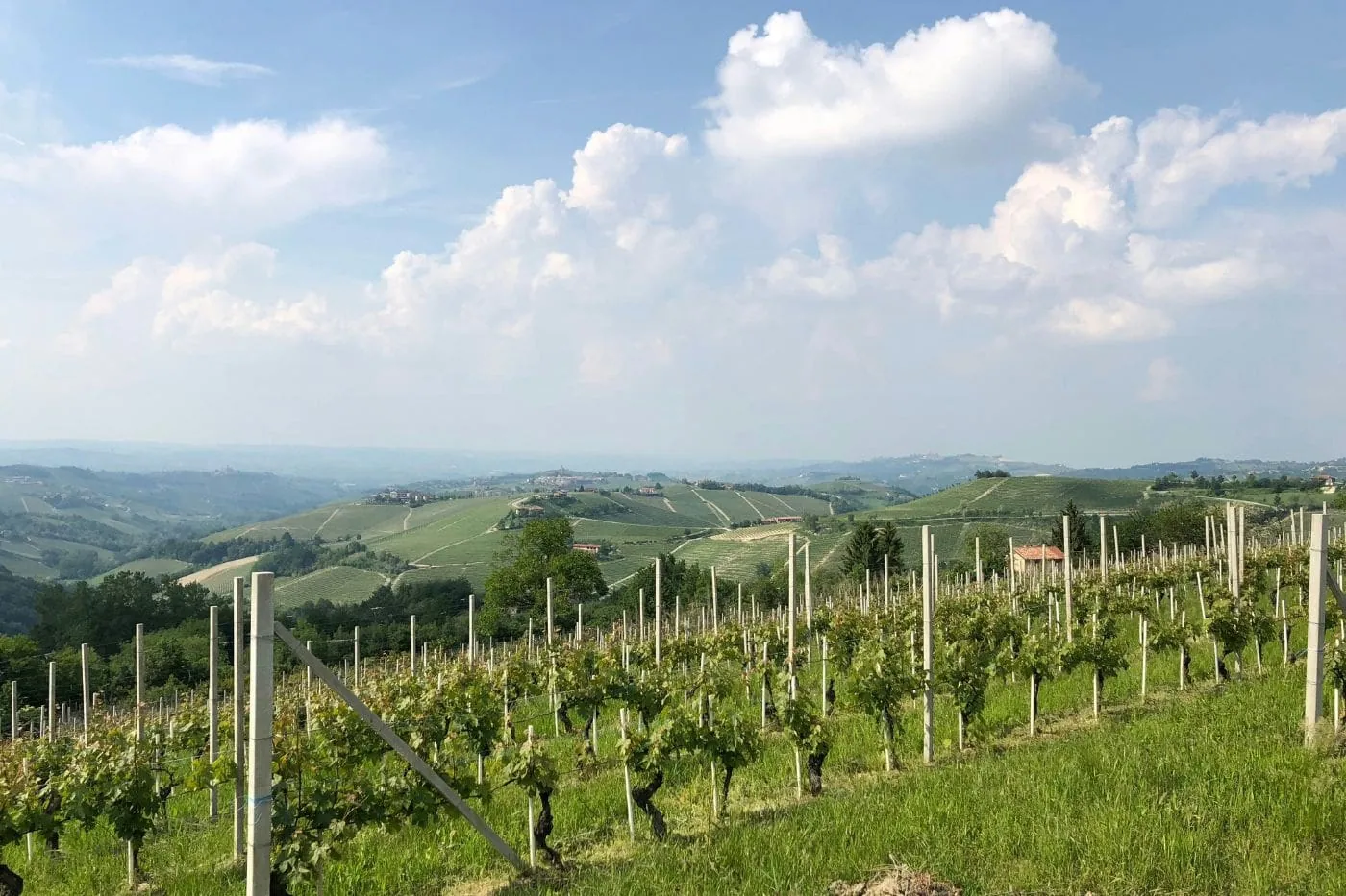 Tour of Piemonte