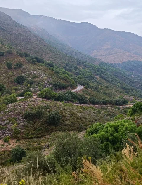 Montes de málaga gravel 