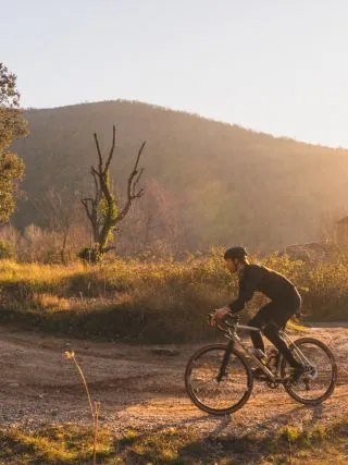 dos kiwis craft beer