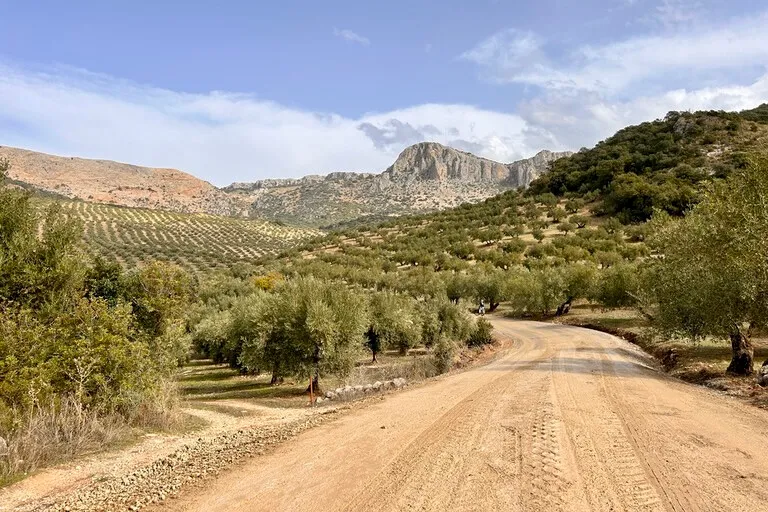 Córdoba to Sevilla Gravel Experience