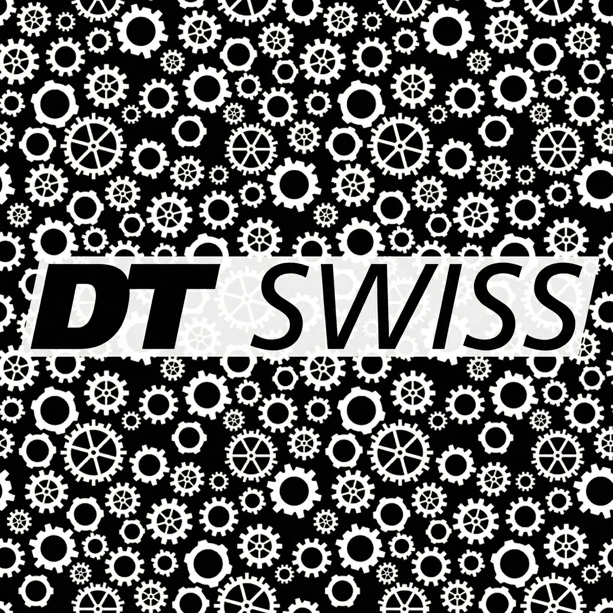 DT Swiss: Traka Spectator Ride