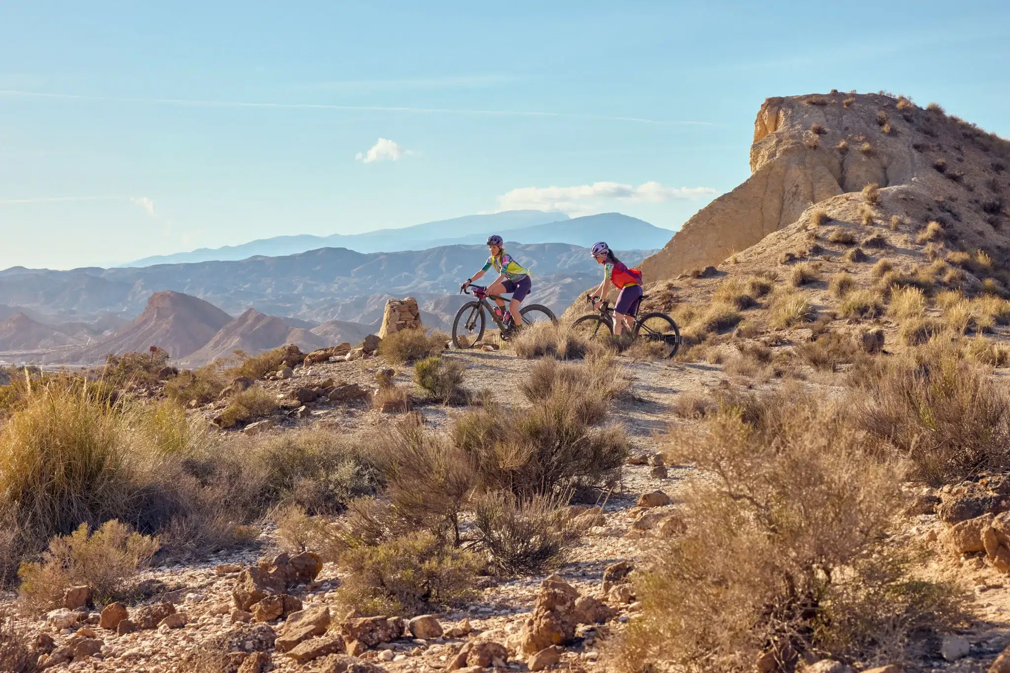 TOP TIER ROAD AND GRAVEL BIKES FROM THE HEART OF THE CITY