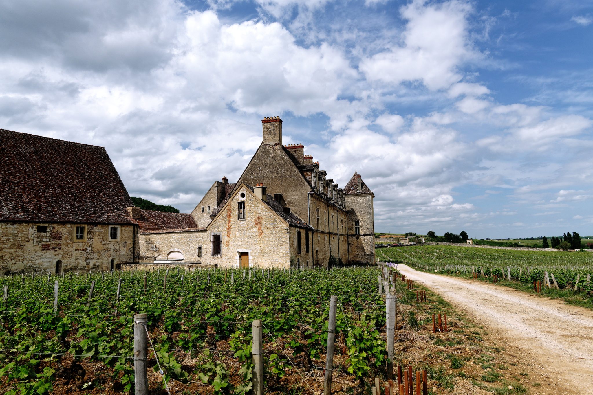 Chardonnay to Pinot: A Burgundy Cycling Journey